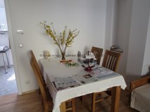 1b-wohnzimmer-speisetisch-wohnung-mieten-baden-bei-wien